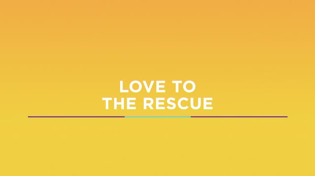 Love Rescue Hallmark Media International